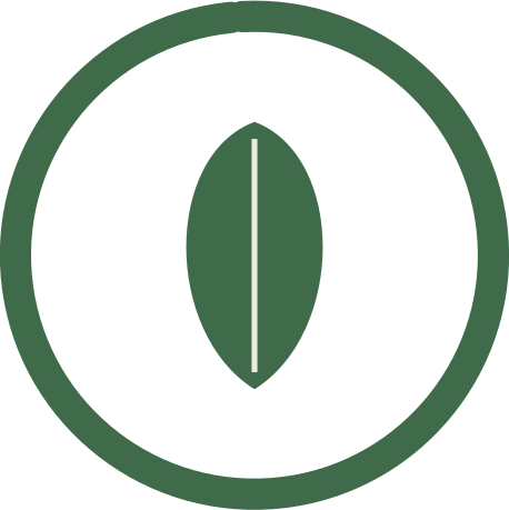 Olivareo